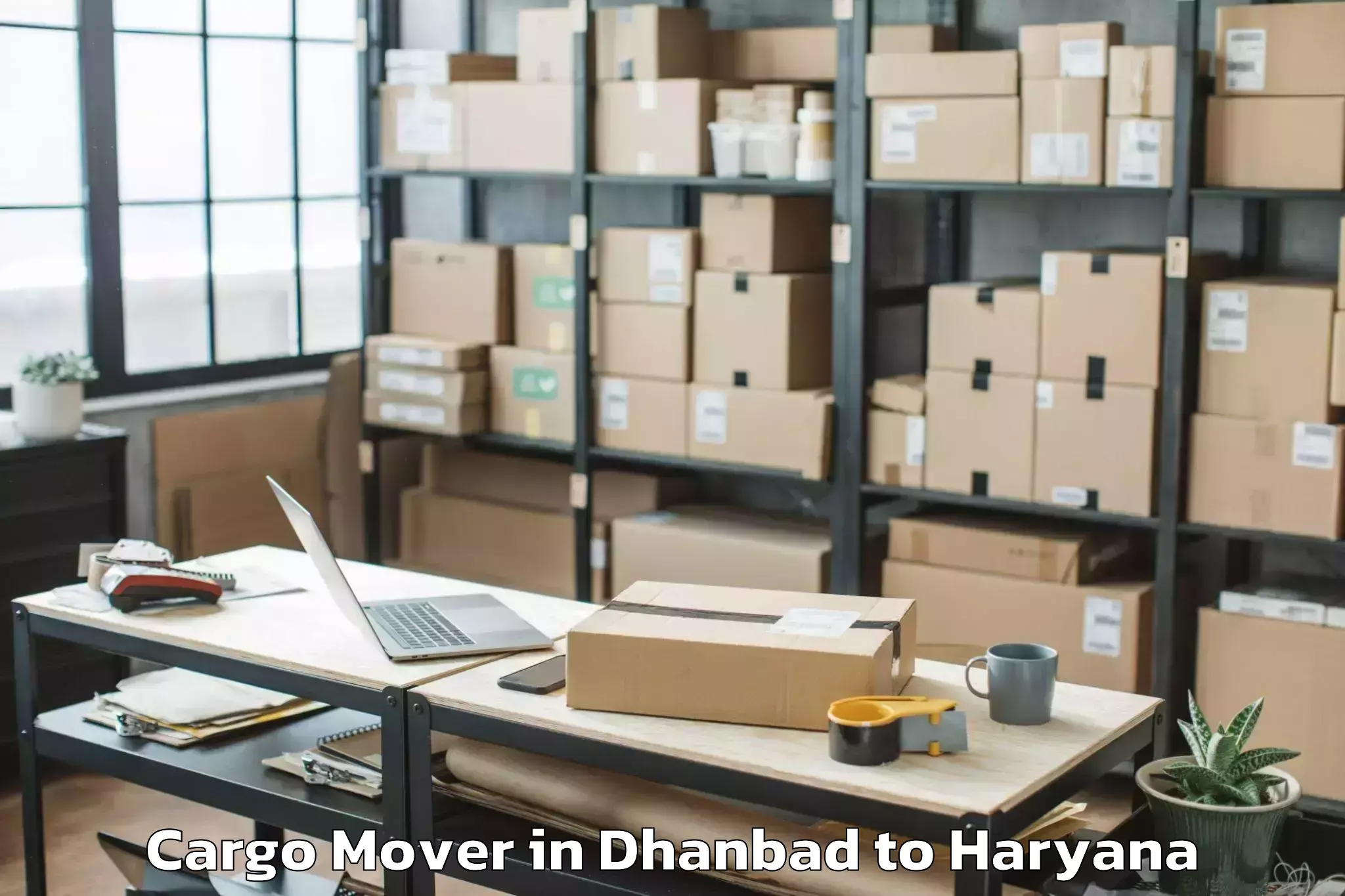 Top Dhanbad to Charkhi Dadri Cargo Mover Available